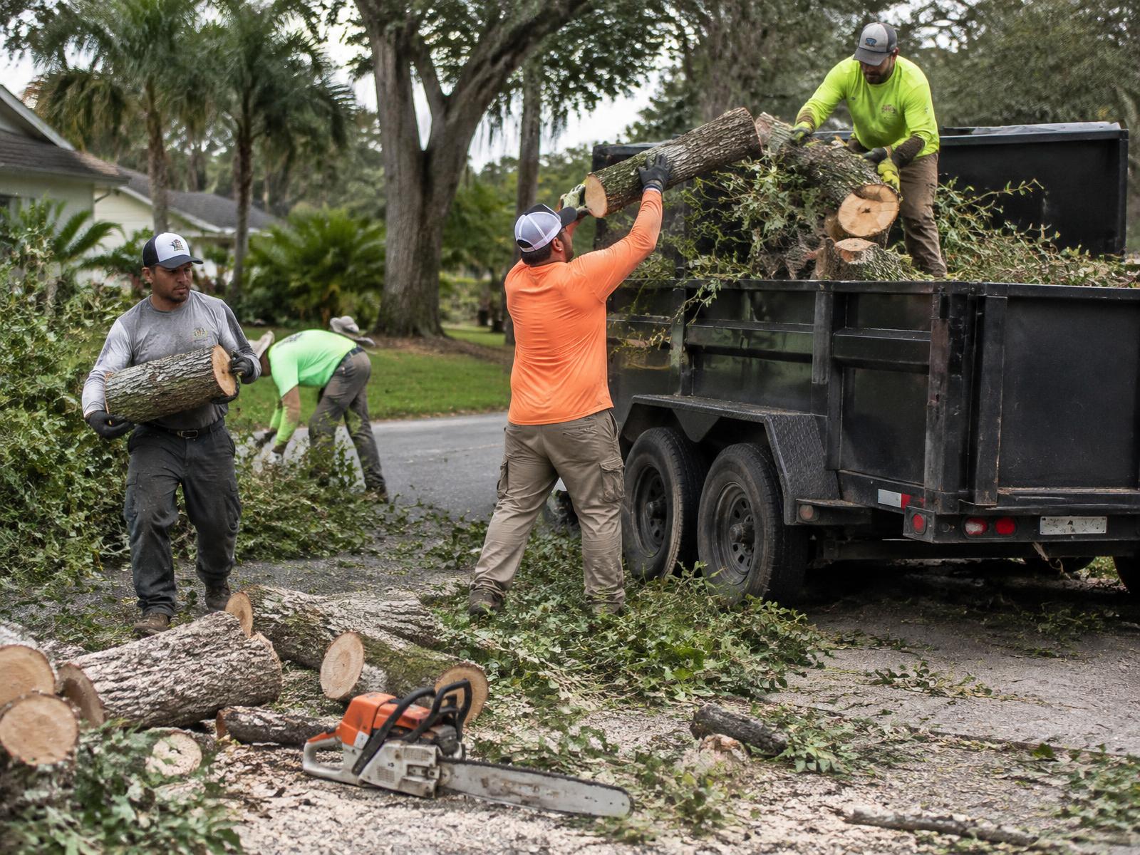 Crew loading cut logs and brush
