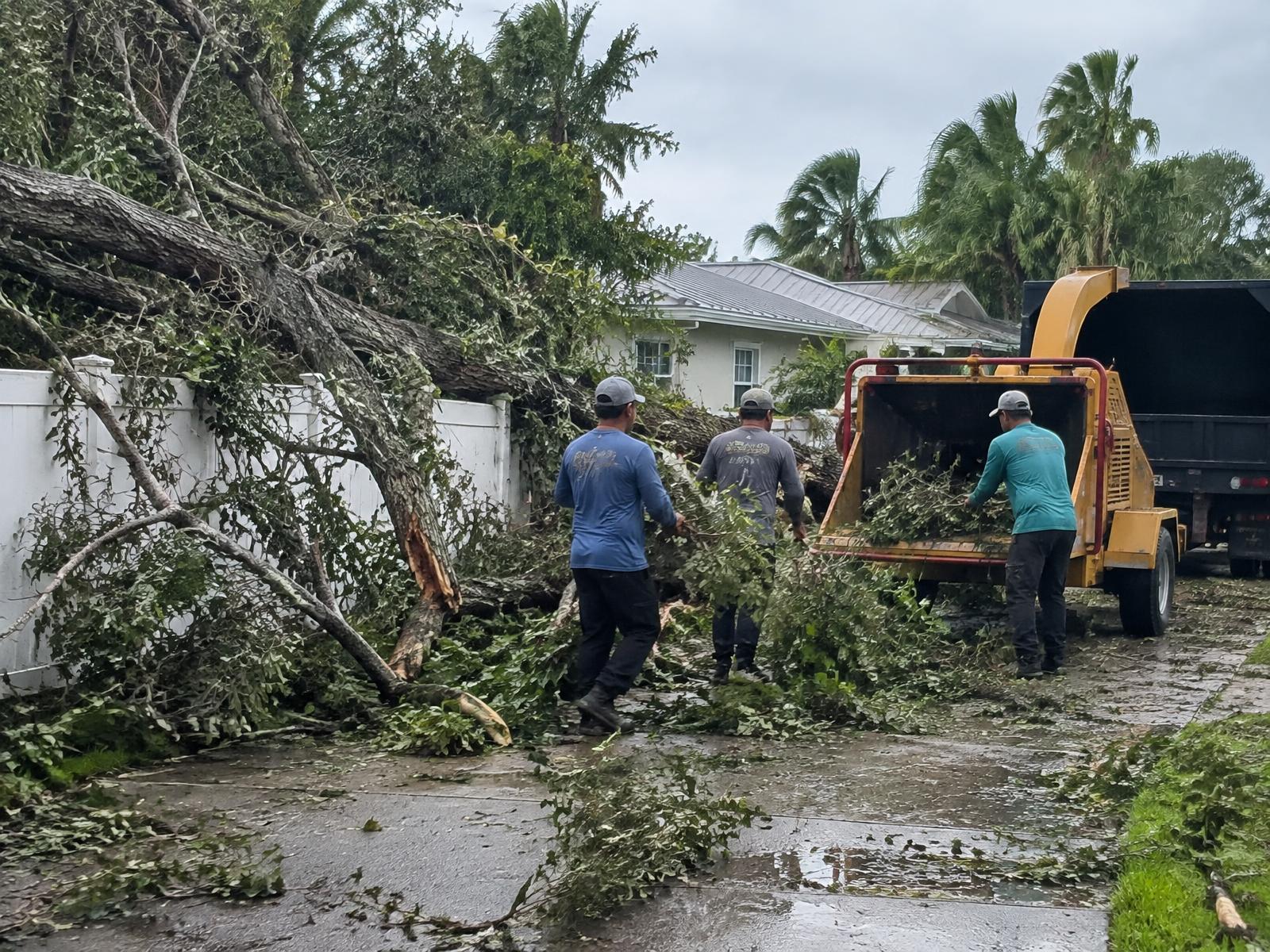 Storm Cleanup